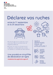 ruches2020 - Plaquette_Declarer_une_ruche(1)